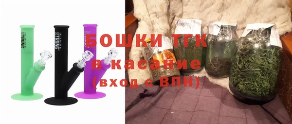 индика Армянск