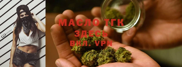 индика Армянск
