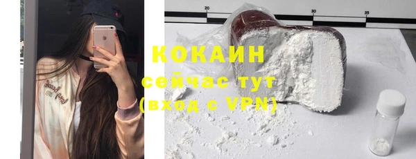 индика Армянск