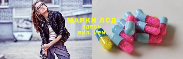 ГАЛЛЮЦИНОГЕННЫЕ ГРИБЫ Арсеньев
