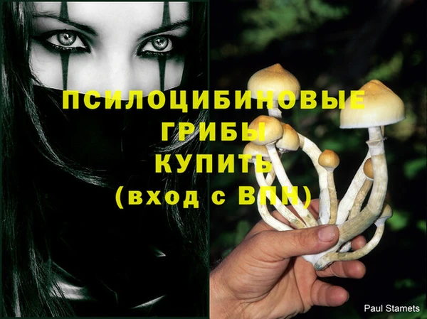 ГАЛЛЮЦИНОГЕННЫЕ ГРИБЫ Арсеньев