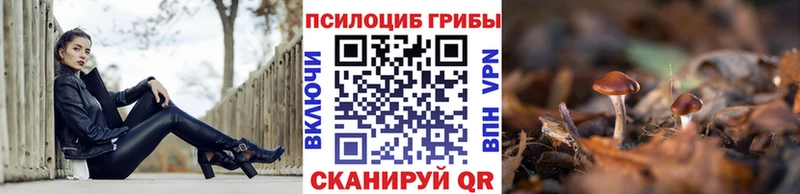 OMG сайт  Георгиевск  Псилоцибиновые грибы ЛСД 
