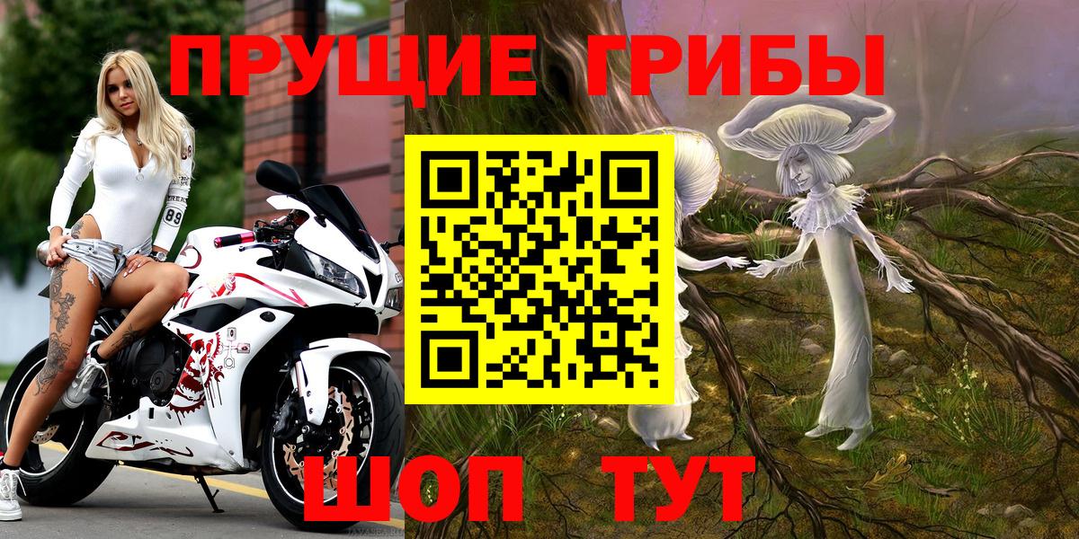 Галлюциногенные грибы прущие грибы  Вход с VPN  Псилоцибиновые грибы ЛСД  Георгиевск 