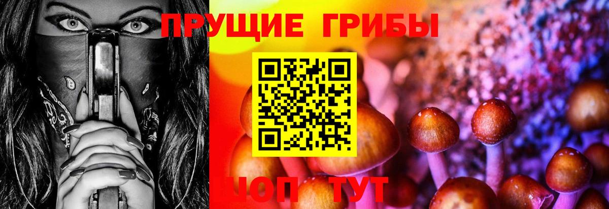 Псилоцибиновые грибы ЛСД Георгиевск