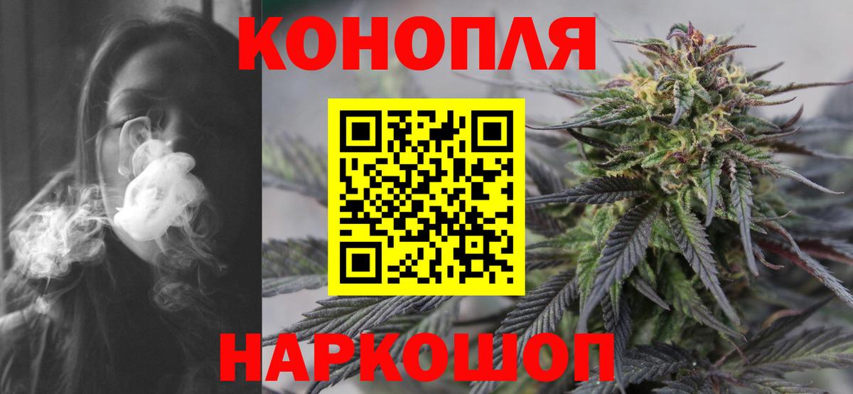 Бошки Шишки планчик  Бошки Шишки сатива  Георгиевск  Вход с VPN  Каннабис сатива  Каннабис VHQ 